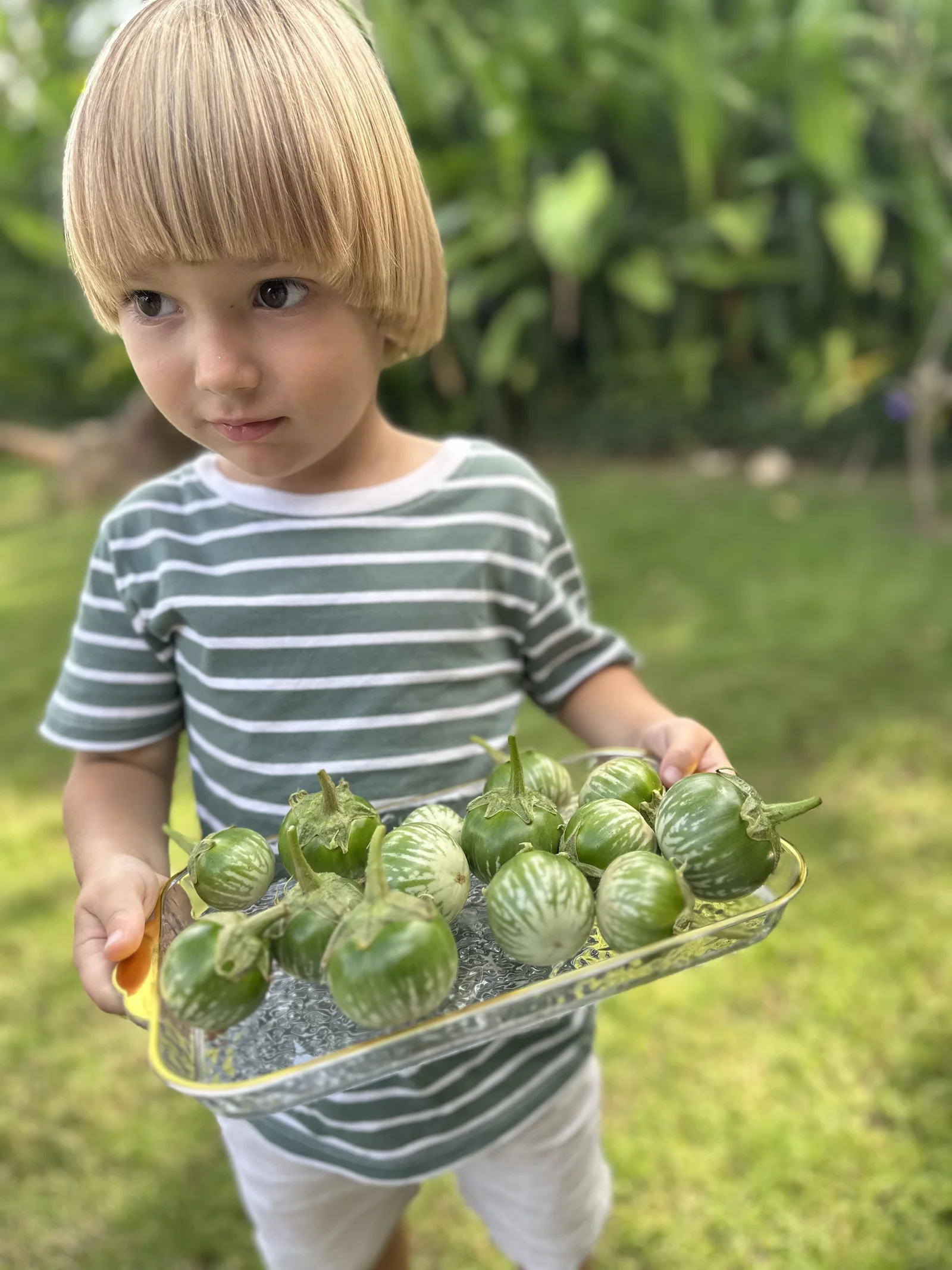 Sunny Kids Moment 84